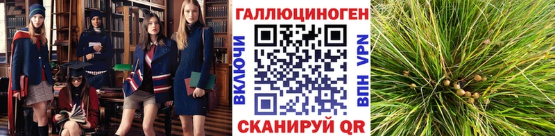 где купить наркоту  Яровое  Галлюциногенные грибы мицелий 